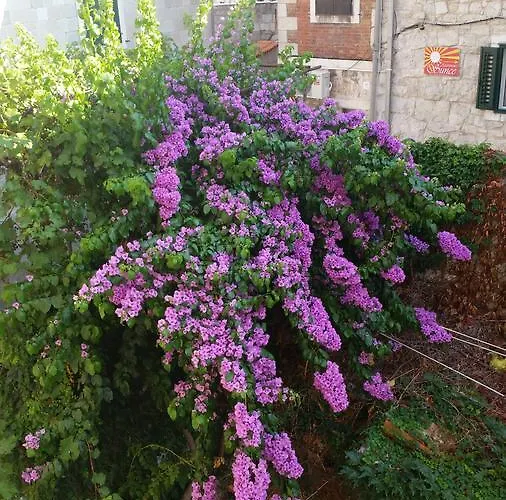 페어리 오브 시즈 아파트먼트 * 스플리트