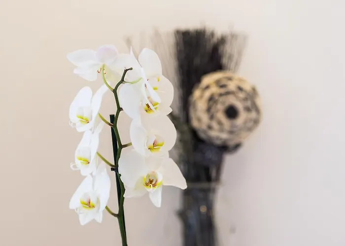 Fairy Of The Seas * Split